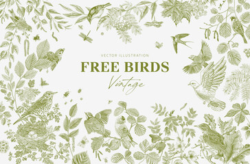 Free Birds. Card. Vector vintage illustration. Green - obrazy, fototapety, plakaty