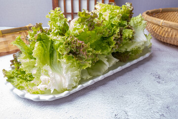 Lettuce, one of the types of vegetables