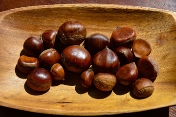 実りの秋　収穫した大小様々な栗