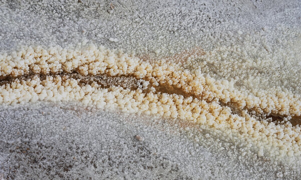 Earth covered with crystallized potash salt