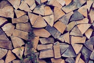 Fototapeta premium Stacked pile of firewood, texture, background