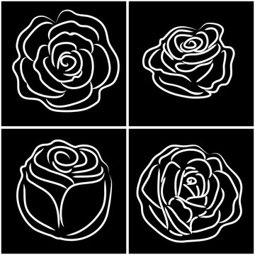 White rose pattern on black background