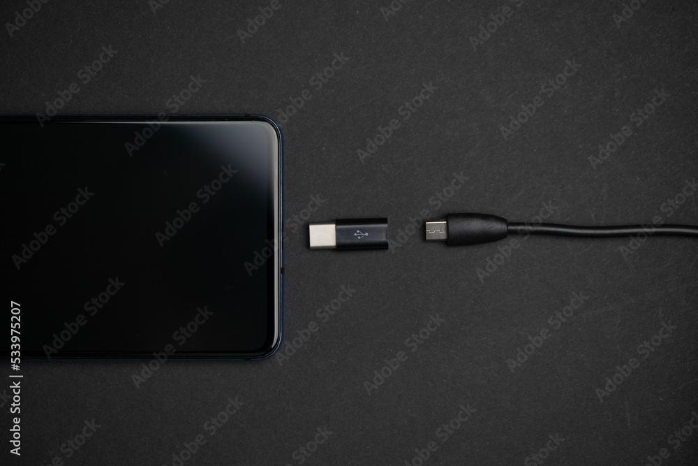 Poster phone with usb type c and micro usb to type c adapter and cable. top view of usb adapter cable.