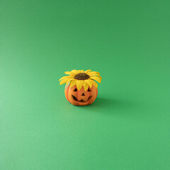 Autumn , halloween 2022. Halloween pumpkin with yellow sunflower  on green  background. Minimal festive composition.