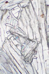 Chemical substance paracetamol made by a microscope in polarized light.
