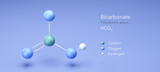 bicarbonate, molecular structures, polyatomic anion, 3d model, Structural Chemical Formula and Atoms with Color Coding