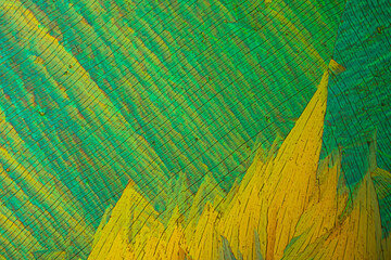 Chemical substance methyl yellow made by a microscope in polarized light