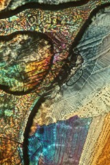 Chemical substance Aluminumchlorid made by a microscope in polarized light