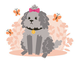 Curly little dog sits on the lawn with flowers and butterflies