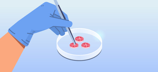 scientist hands holding cultured red raw meat made from animal cells artificial lab grown meat production concept