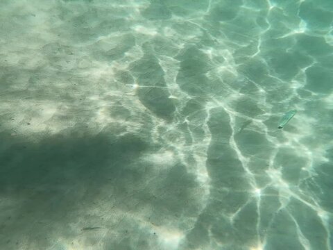 ragazza in sub sott'acqua nel mare mediterraneo va snorkeling