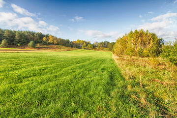 Naklejka premium Landscape autumn field with colourful trees, autumn Poland, Europe and amazing blue sky with clouds, sunny day 