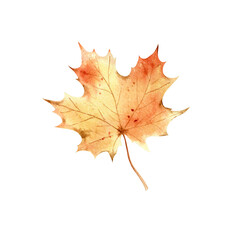 Watercolor hand drawn autumn leaf in realistic botanical style