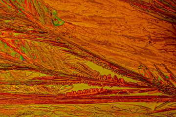 Crystals of the chemical substance Strontium saliciylate by a microscope in polarized light.