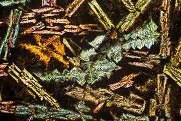 Cross-section of Gabbro photographed through the microscope in polarized light