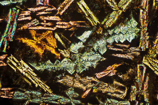 Cross-section of Gabbro photographed through the microscope in polarized light