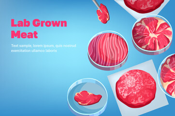 cultured red raw meat made from animal cells artificial lab grown meat production concept
