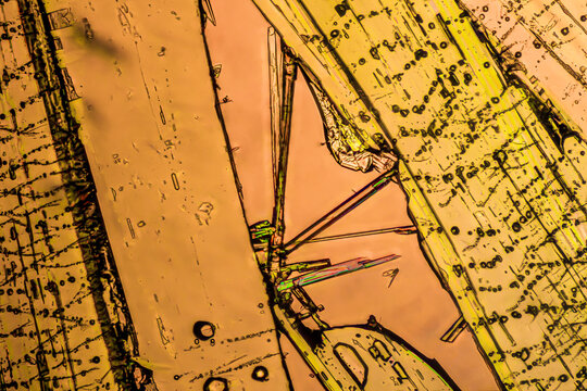 Chemical substance Benzoicacid made by a microscope in polarized light