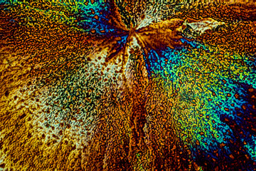 Chemical substance Brucine made by a microscope in polarized light