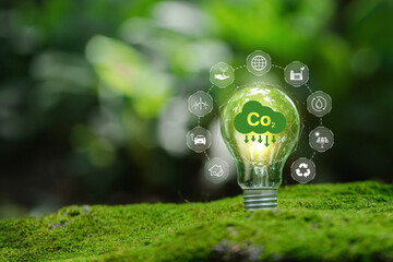 light bulb against nature with icons energy sources for renewable Sustainable development and business based on renewable energy. Reduce CO2 emission concept. green business based on renewable energy. - obrazy, fototapety, plakaty