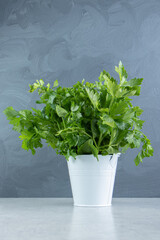 Parsley in the white bucket , on the marble background