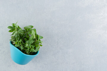Peppermint leaves in the bowl , on the marble background