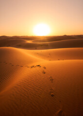 Walking in the Sahara Desert (Morocco Chegaga desert) © Feroz