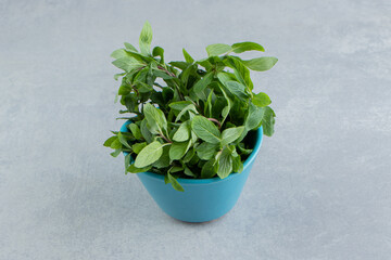 Peppermint leaves in the bowl , on the marble background