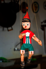 Pinocchio IMG_0084