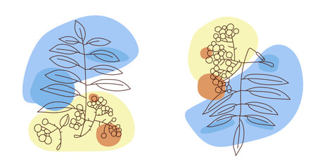 A set of illustrations, rowan branches on a background of colored spots in a doodle style.