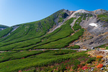 Obraz premium １０月の乗鞍岳