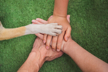 Human hands and dog paw as a team. Fight for animal rights, help animals - obrazy, fototapety, plakaty