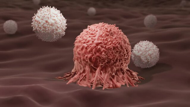 CAR T-cells attacking cancer a cancer cell	
