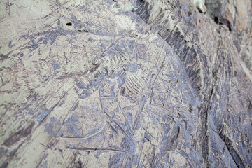 Naklejka premium Old rock carvings of an ancient man on rocks in Siberia. The drawings depict animals and people