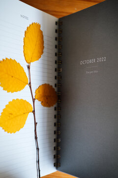 October 2022 plan page in open notebook organizer calendar with dry autumn leaves. Autumn planning and schedule for October. Selective focus