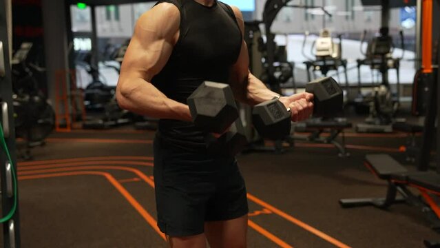 Bodybuilder guy crop view doing dumbbell bicep tricep curls workout in gym, bodybuilding