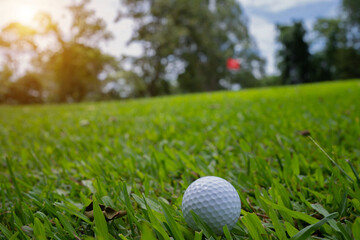 Golf ball on green grass in the evening golf course with sunshine background.