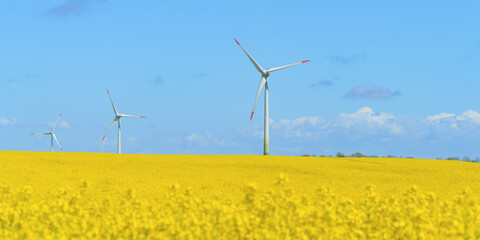 Wind turbine in a rapeseed field on a sunny summer day