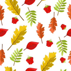 Autumn seamless pattern of oak and rowan and other leaves of different colors, and raspberries. Vector graphic.