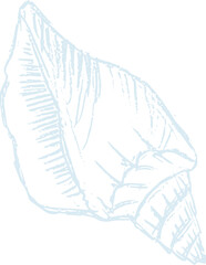 Chalk imprints of fossil seashell of prehistoric sea animal snail Gray archeology fragments. Set of realistic hand drawn sketch art. PNG illustration