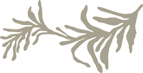 Fototapeta na wymiar Stencil imprints of fossil skeletons of prehistoric plants ginkgo, fern, seaweed, alga. Gray archeology fragments. Set of realistic hand drawn sketch art. PNG illustration