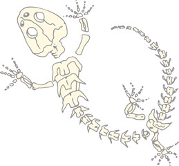 Line imprints of fossil of prehistoric animal dinosaur, bird, lizard, fish. Gray archeology fragments. Set of realistic hand drawn sketch art. PNG illustration