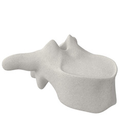 3d rendering illustration of a thoracic vertebra