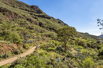Amazing View on Barranco de Guayadeque, Gran Canaria, Canary Island, Spain, Europe