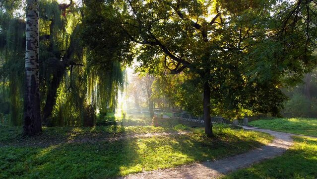 The bright sun shines in the morning in the park. Sun shining through trees in park on sunny summer autumn morning. Fountain, dirt paths, bridge, shadows. Green leaves and grass. Aerial drone view.