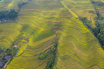 dragon terraced fields in Guilin Guangxi China