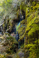 Source of the River Cuervo, Nacimiento del rio Cuervo, Serrania de Cuenca, Spain