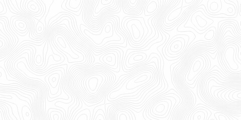 Abstract topographic contours map background .Topographic background and texture, monochrome image. Topography and geography map grid abstract backdrop. Business concept. Fish Fillet Texture .