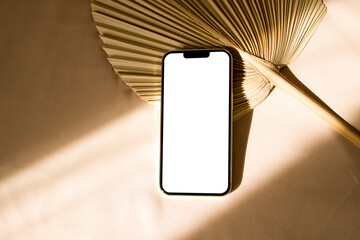 Phone mockup with sunlight shadows with dry palm leaf
