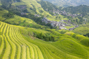 Dragon terraced fields in Guilin Guangxi China